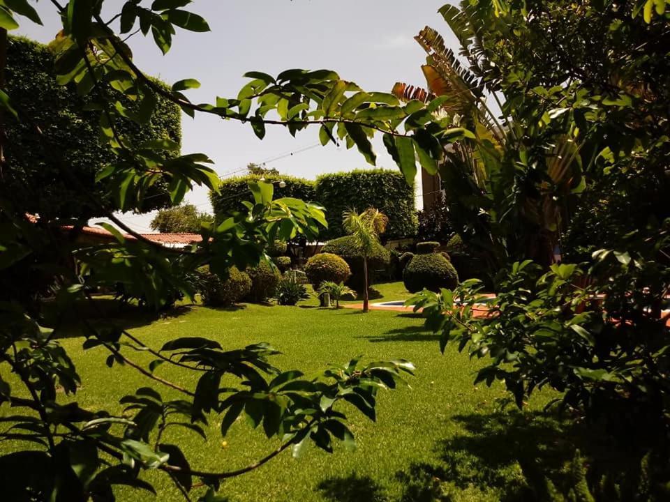 Hotel Alamo Internacional San Salvador Kültér fotó